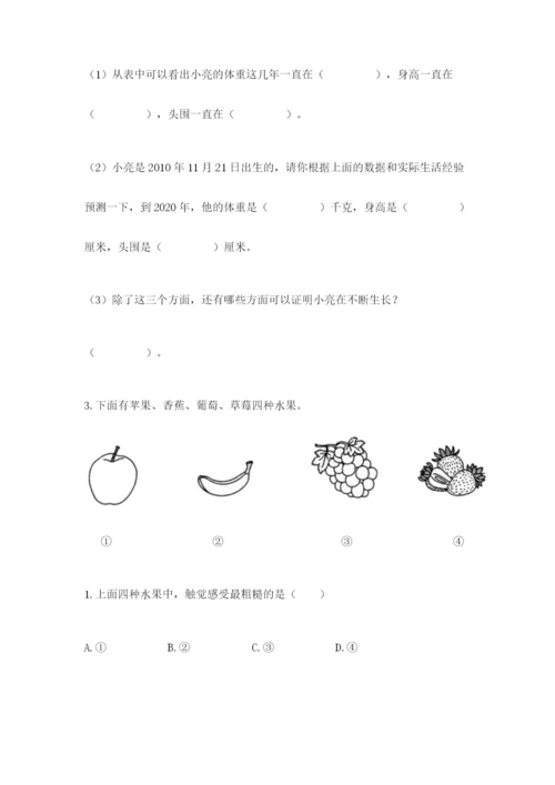 教科版二年级下册科学期末测试卷含完整答案（考点梳理）.docx