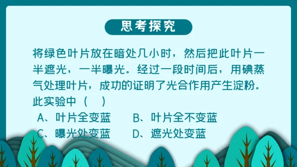 光合作用的原理和应用通用PPT模板