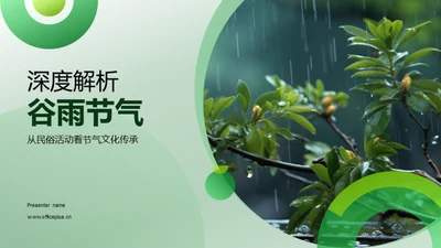 深度解析谷雨节气