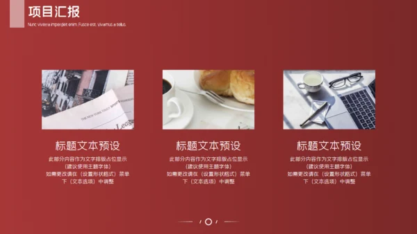 金融业投资者项目通用PPT模板