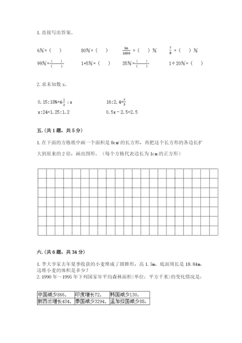 人教版数学六年级下册试题期末模拟检测卷精品（网校专用）.docx