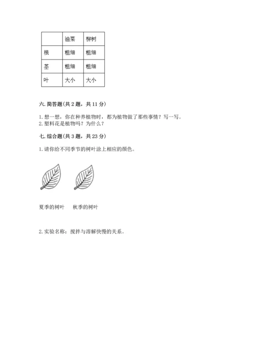 教科版科学一年级上册第一单元《植物》测试卷精品【夺冠系列】.docx