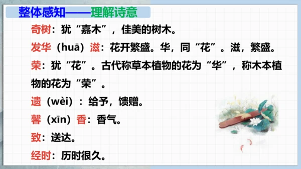 部编版八上语文第三单元课外古诗之〈庭中有奇树〉课件
