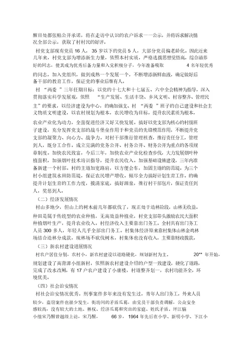 乡镇村情调查报告计划10篇