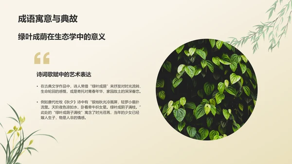 绿色复古风绿叶成荫历史典故赏析PPT模板