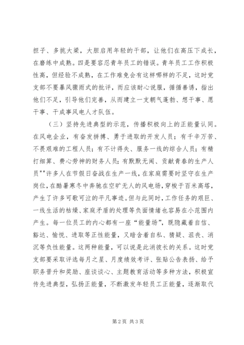 浅谈如何在风力发电企业中发挥党支部的战斗堡垒作用3 (2).docx