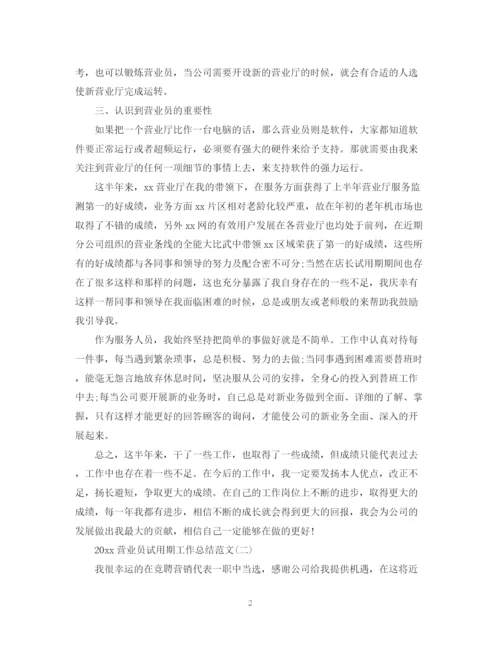 精编之营业员试用期工作总结范文.docx