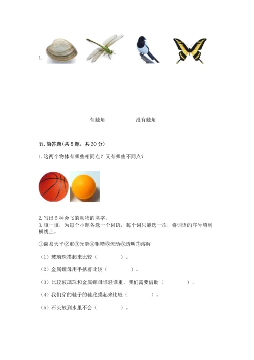 教科版一年级下册科学期末测试卷精品【历年真题】.docx