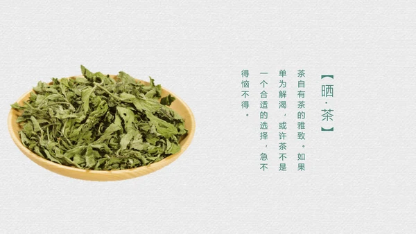 绿茶中国风茶道茶文化绿茶茶味通用PPT模板