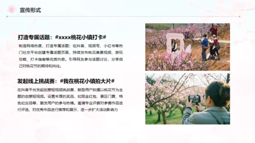小镇桃花节策划方案通用PPT