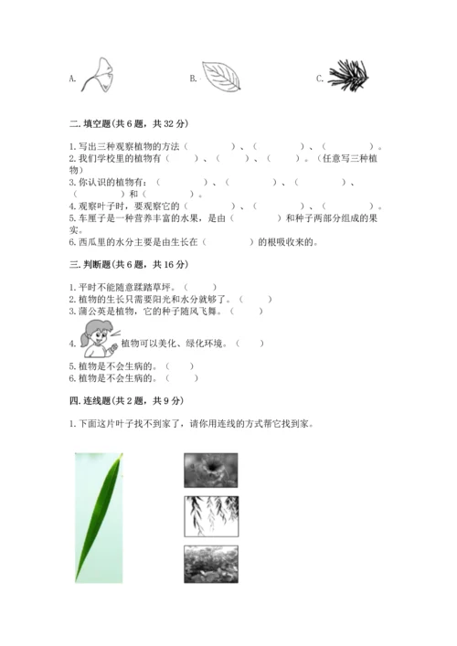 教科版科学一年级上册第一单元《植物》测试卷有答案.docx