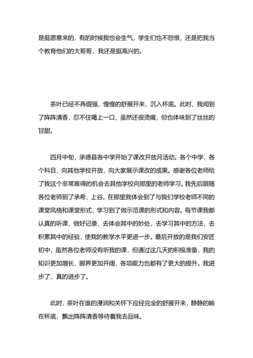 冬季顶岗实习个人总结.docx