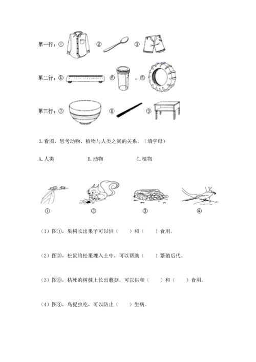 教科版二年级上册科学期末测试卷精品【巩固】.docx