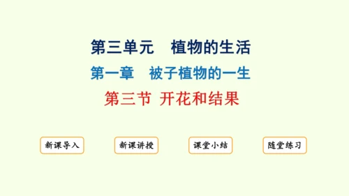 3.1.3开花和结果-七年级生物下学期同步精品课件（2024人教版）(共27张PPT)