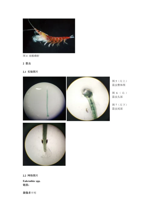 海浮游第七次实验—阳敏.docx