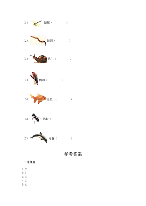 教科版科学二年级上册《期末测试卷》及答案【新】.docx