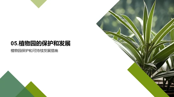 绿色卫士：植物园的力量