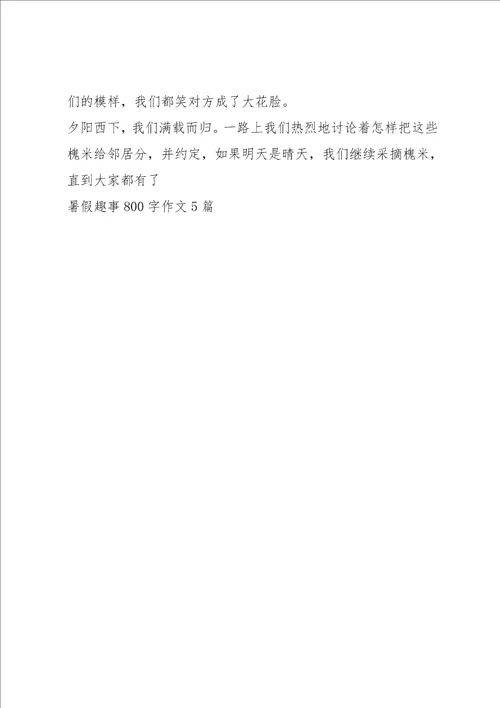 暑假趣事作文450字5篇
