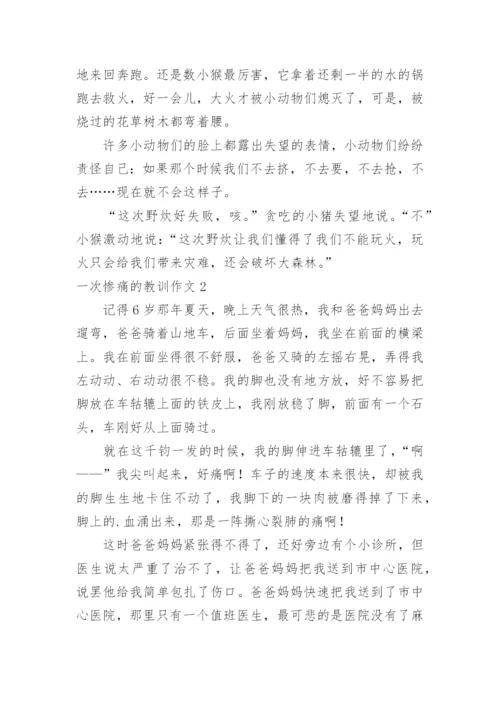 一次惨痛的教训作文.docx
