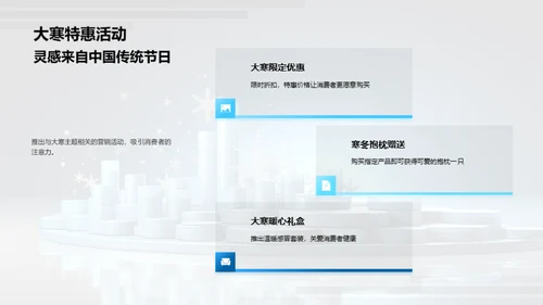 大寒营销策略解析