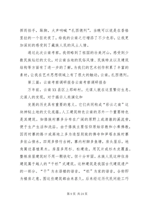云南白族调研报告.docx