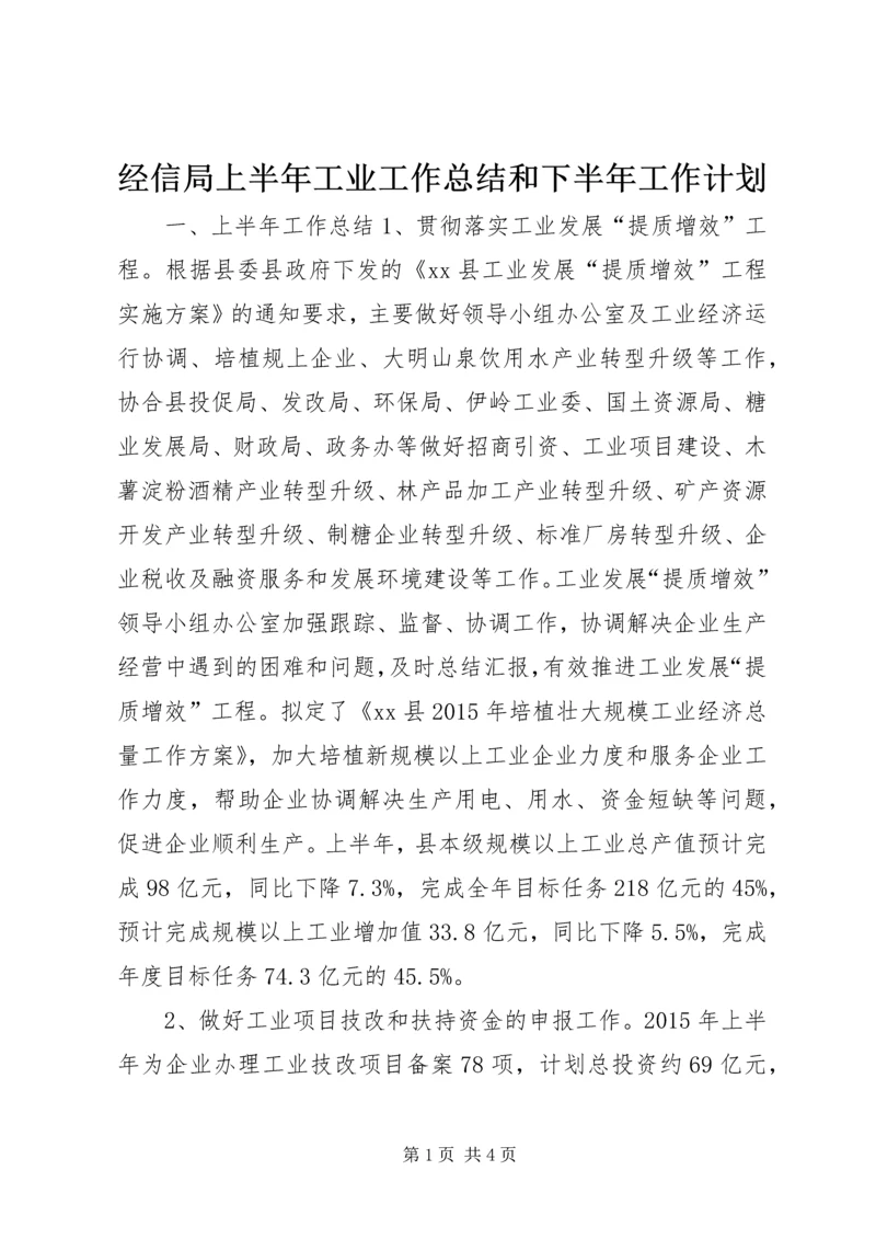 经信局上半年工业工作总结和下半年工作计划.docx