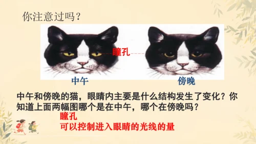 初中生物学人教版（新课程标准）七年级下册4.6.1人体对外界环境的感知课件(共33张PPT)