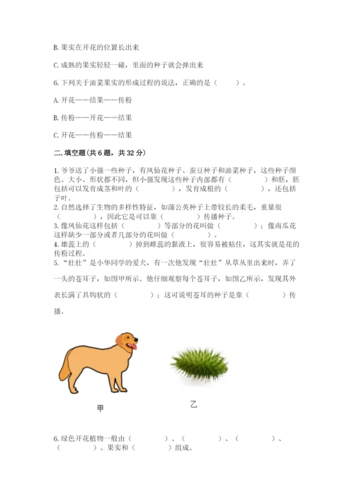 科学四年级下册第一单元《植物的生长变化》测试卷含答案（能力提升）.docx