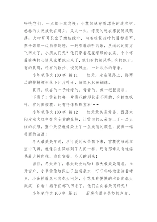 小练笔作文100字.docx