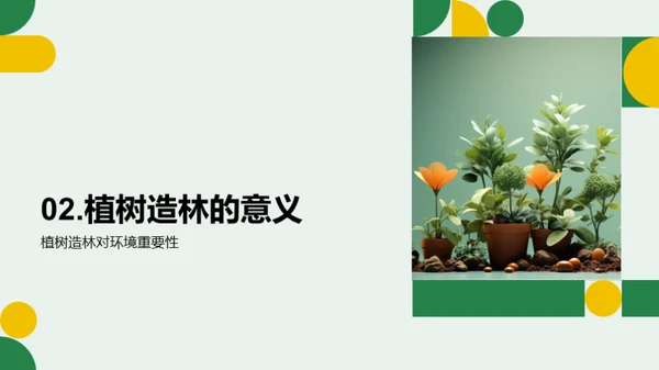 植树护绿，亲手造林