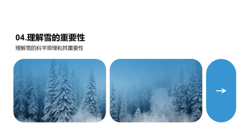 雪的奥秘与影响