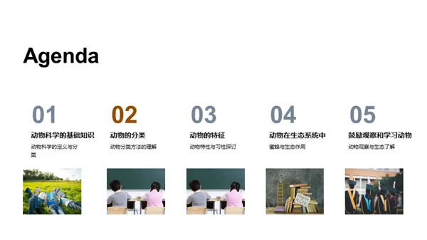 探秘动物世界