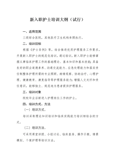 新入职护士培训大纲(试行).docx