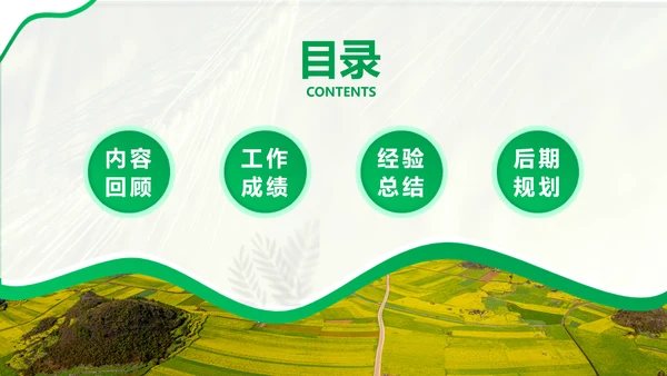 绿色简约风农学专业科研总结