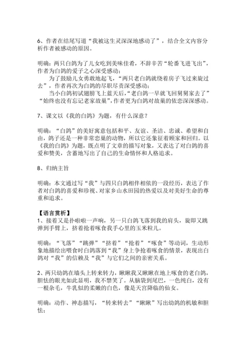 第18课《我的白鸽》教学设计
