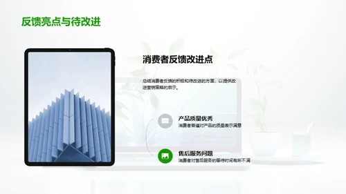 双十一科技数码解读