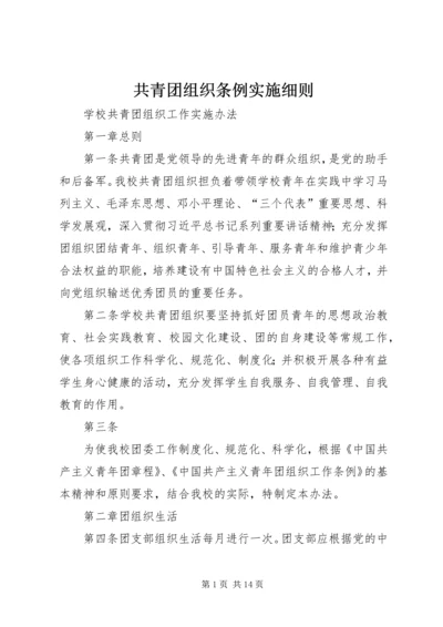 共青团组织条例实施细则 (5).docx