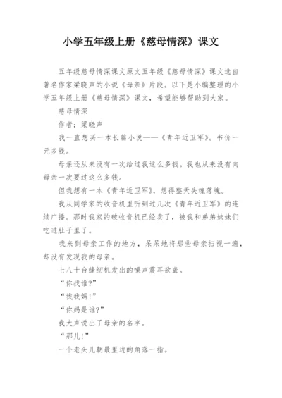 小学五年级上册《慈母情深》课文.docx