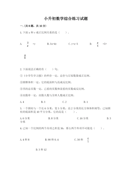 小升初数学综合练习试题标准卷.docx