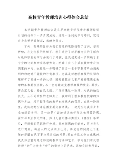 高校青年教师培训心得体会总结.docx