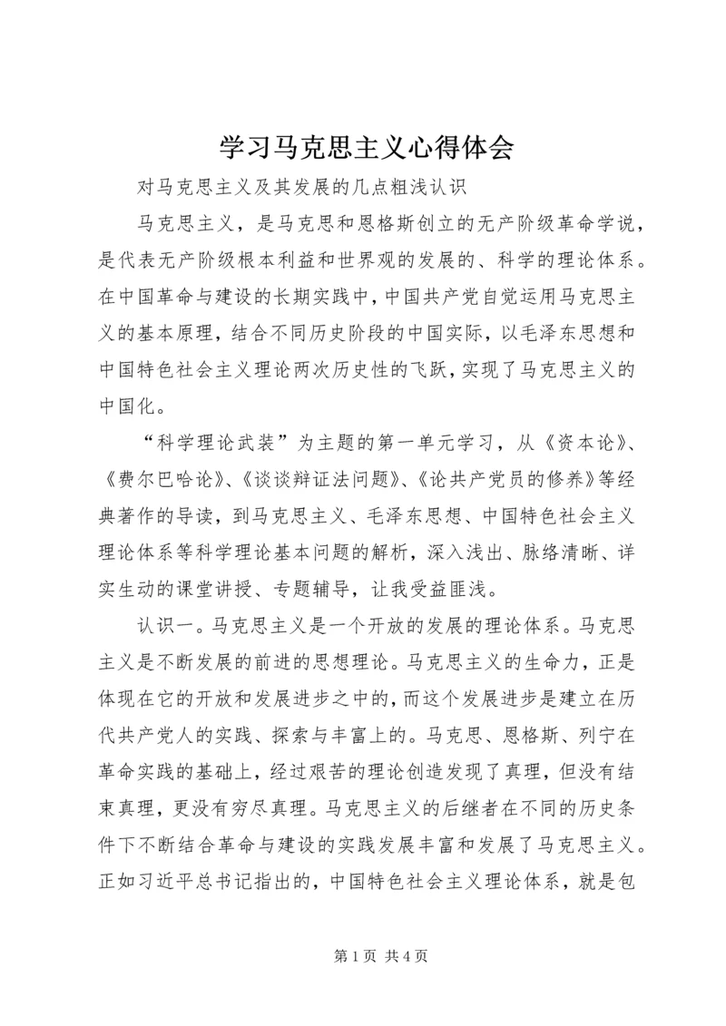 学习马克思主义心得体会 (3).docx