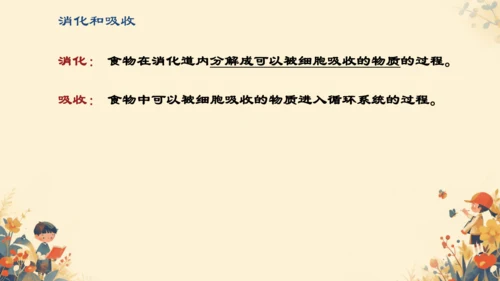 人教版（新课程标准）七年级下册4.2.2 消化和吸收课件(共22张PPT)