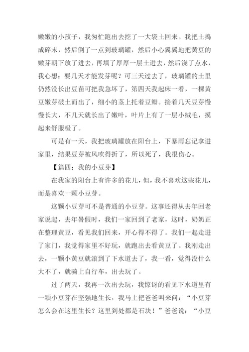 我的小豆芽作文.docx