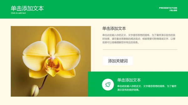 黄绿色清新风夏日通用总结汇报PPT演示模板
