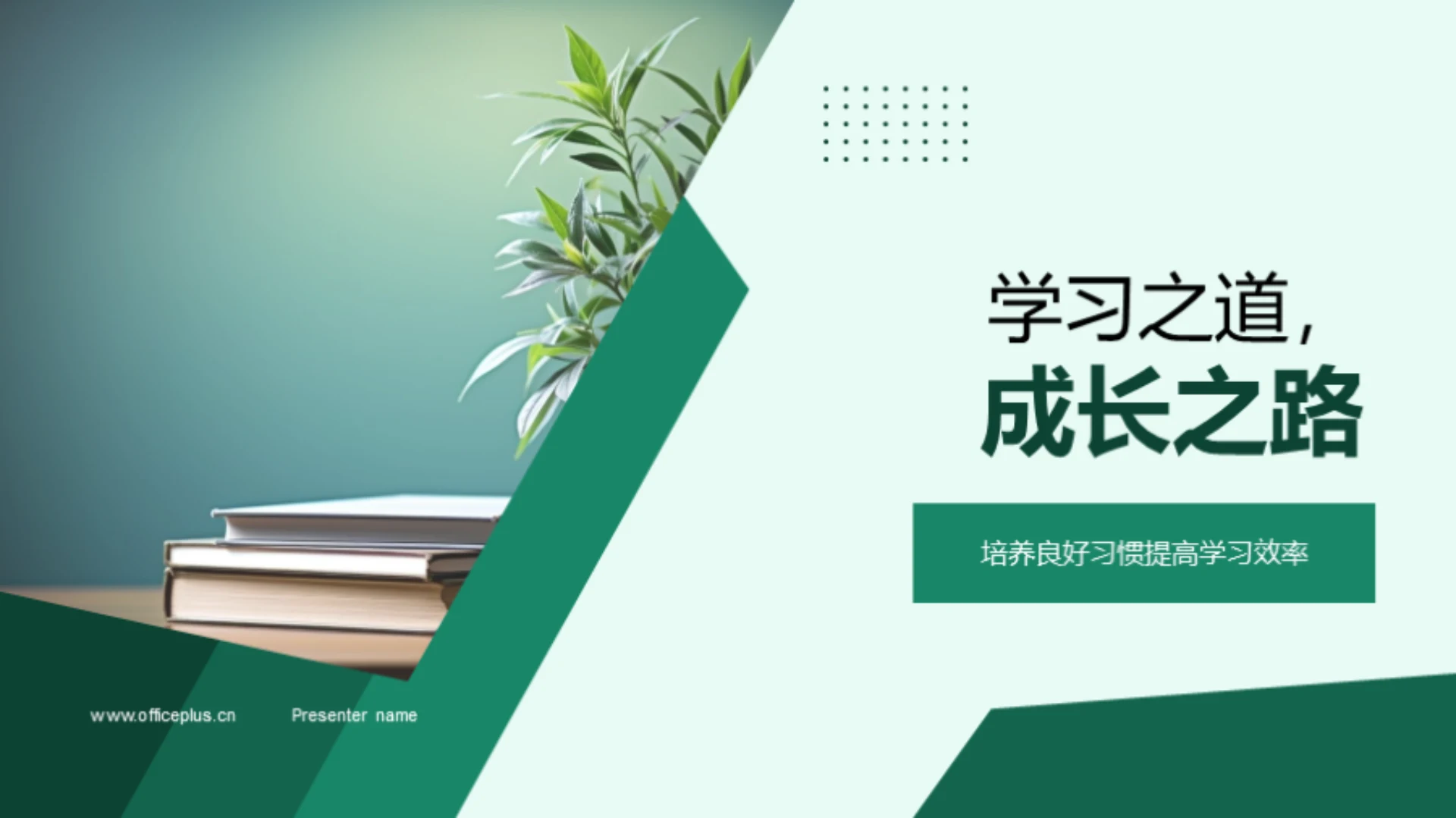 学习之道,成长之路