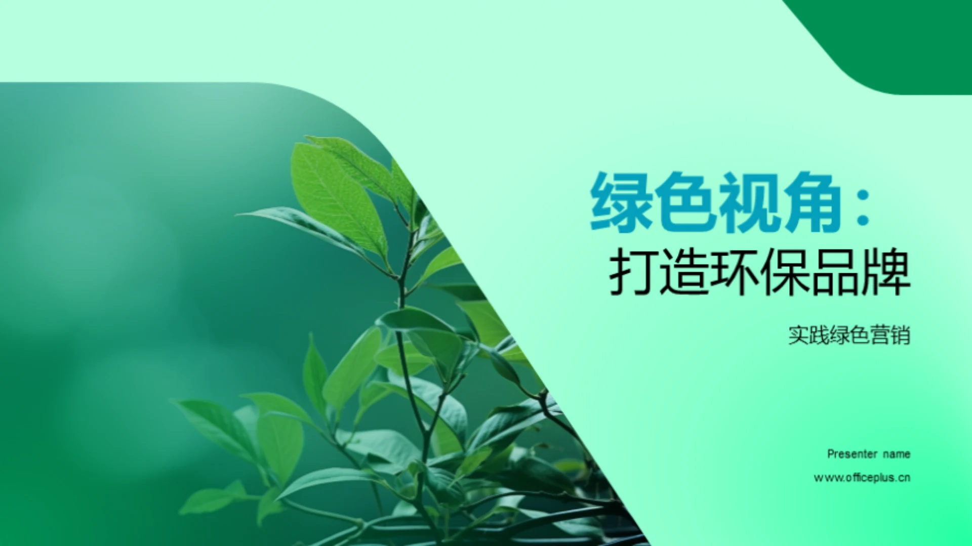 绿色视角:打造环保品牌