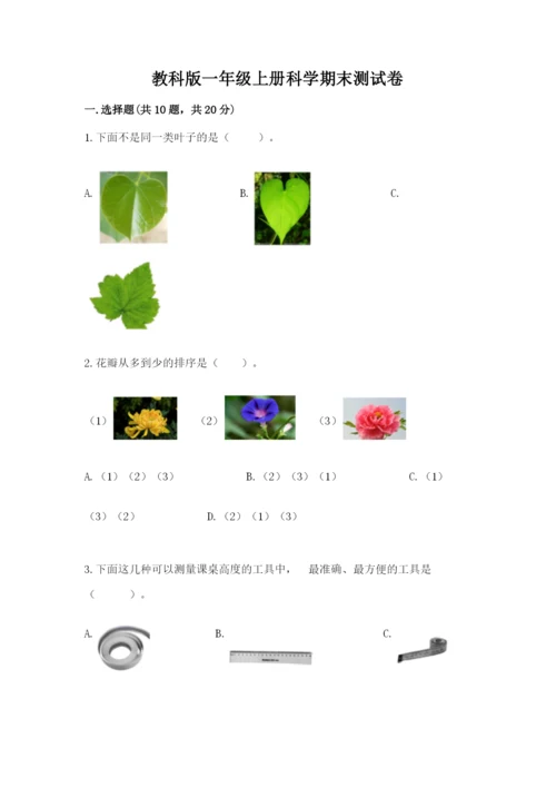 教科版一年级上册科学期末测试卷【名师系列】.docx