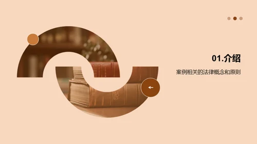 法律案例分析