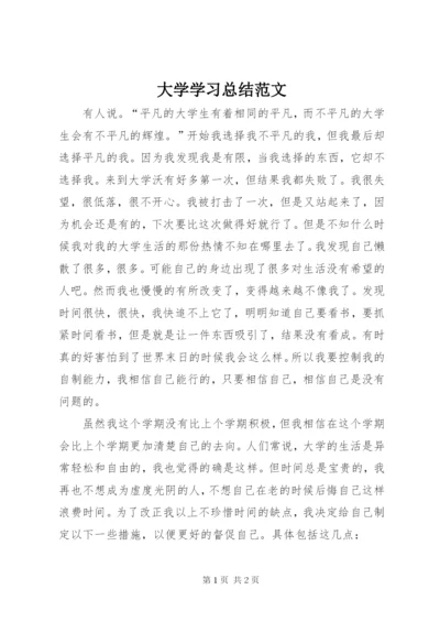 大学学习总结范文.docx