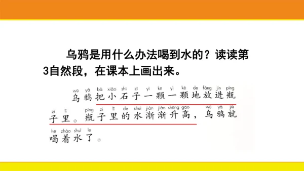 13乌鸦喝水  课件